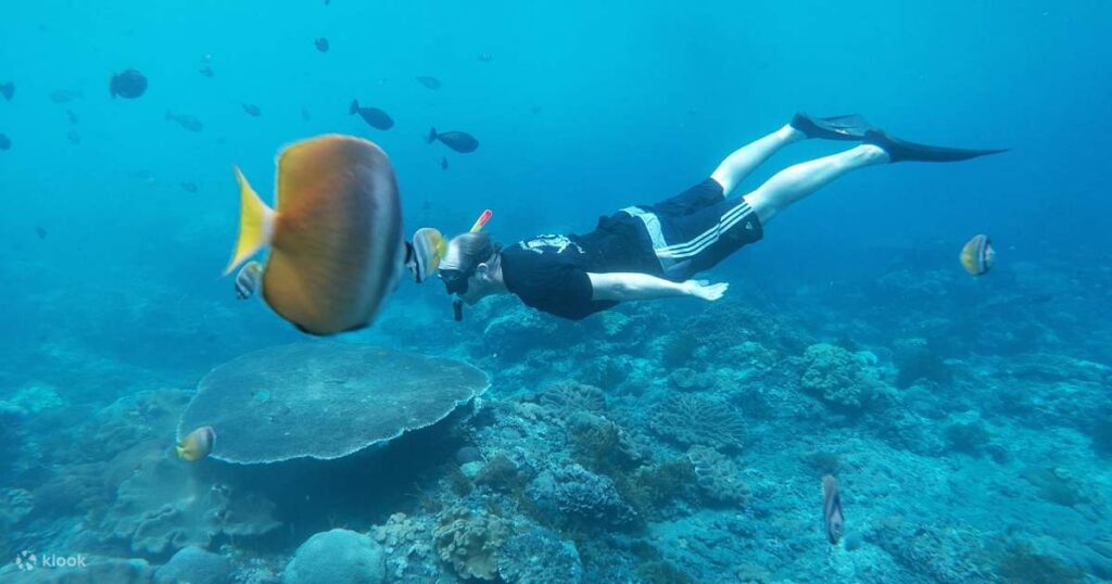 Snorkeling Experience in Nusa Penida