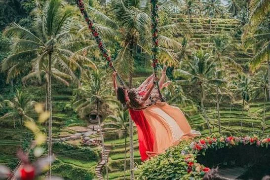 Day 5 Kintamani & Jungle Swing